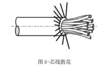 芯线散花.webp